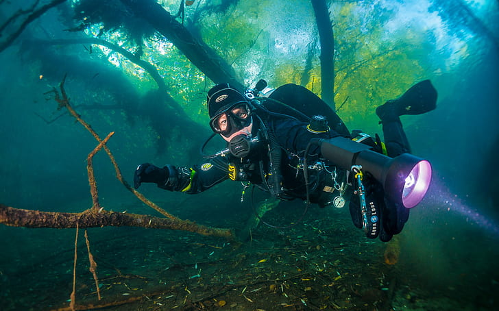 A scuba diver, light, surface, driftwood, under water