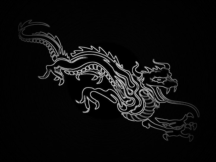 white dragon illustration, artwork, black background, art and craft