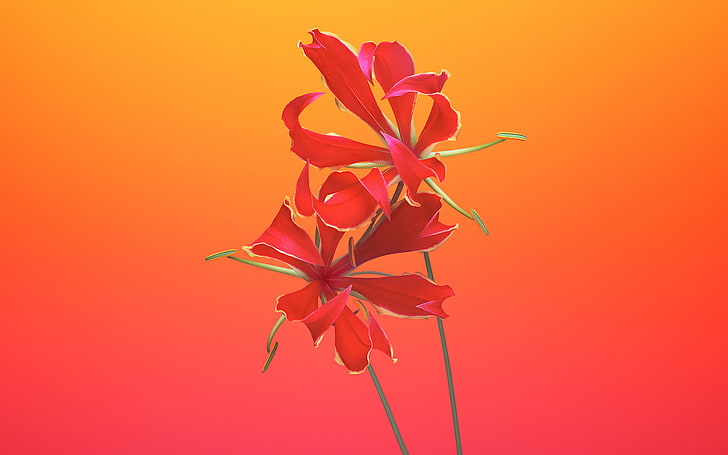 Gloriosa Flower iOS 11 iPhone 8 iPhone X Stock, flowering plant, HD wallpaper