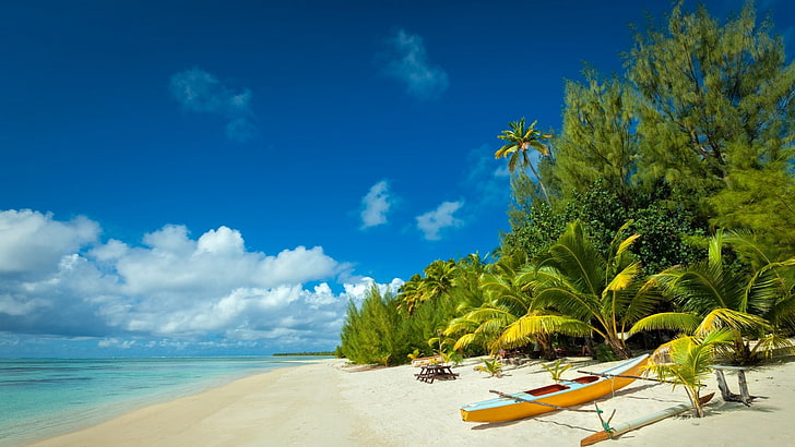 brown and blue board, beach, island, nature, tropical, white