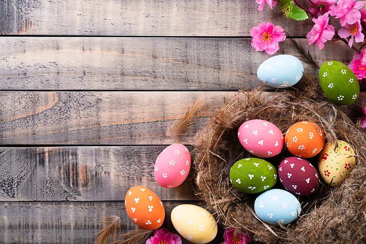 Holiday, Easter, Easter Egg, Nest