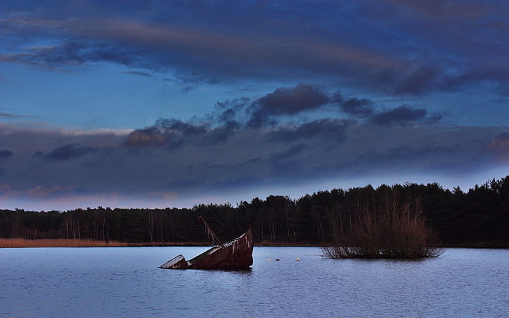 lake, nature, landscape, forest, clouds, shipwreck, water, trees