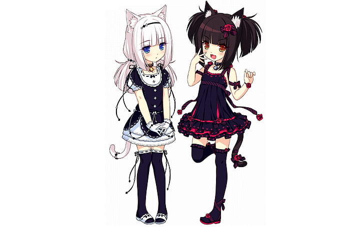 Neko Para, cat girl, anime girls, animal ears, loli, HD wallpaper