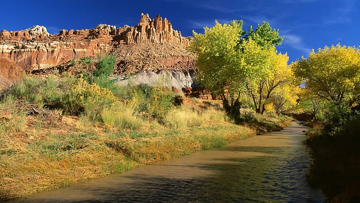 Capitol Reef National Park, green trees, nature, 1920x1080, river