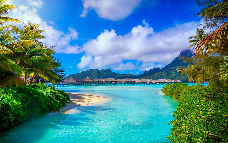 bora bora french polynesia nature landscape beach sea palm trees island resort summer tropical mountain, HD wallpaper