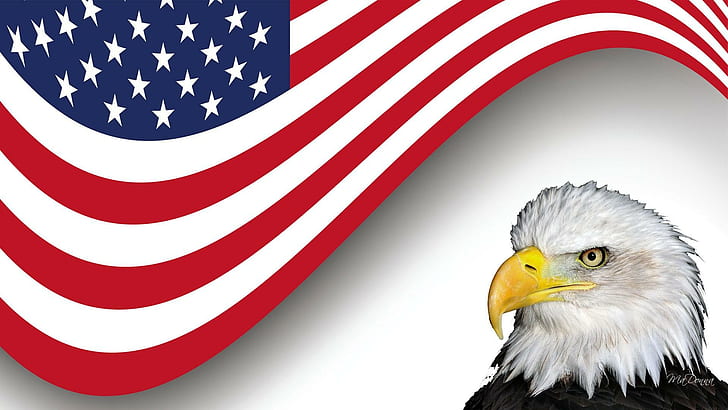 Stars Stripes, patriotism, united states, eagle, patriotic, independence day, HD wallpaper