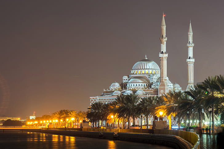night, lights, river, palm trees, temple, mosque, Palace, UAE, HD wallpaper