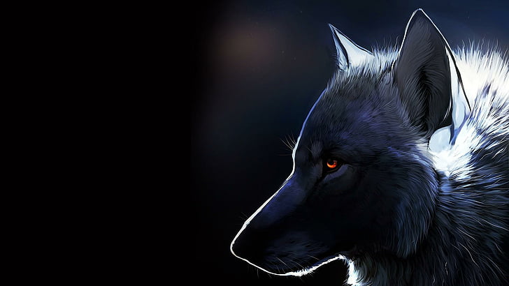 wolf, digital art, fantasy, artwork, HD wallpaper