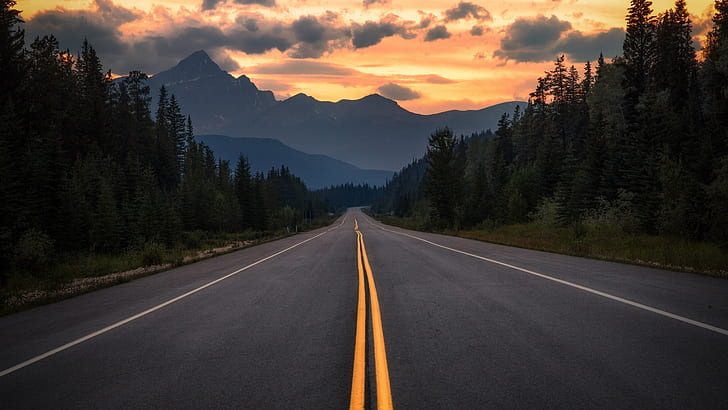 road, asphalt, mountains, trees, Canada, Alberta, HD wallpaper