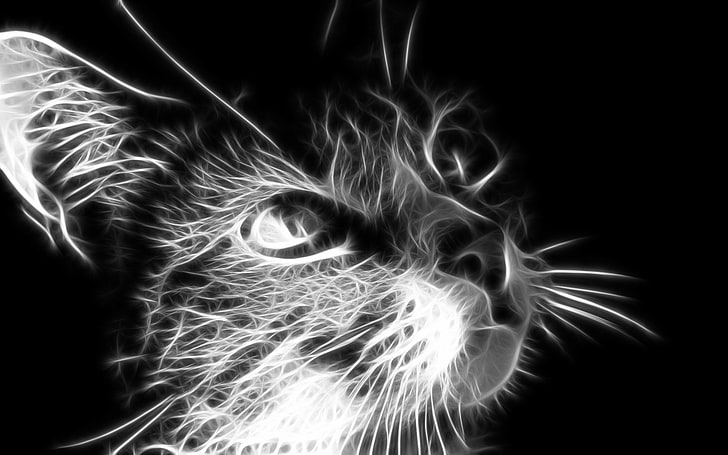Fractalius, cat, monochrome, digital art, animals, black background, HD wallpaper