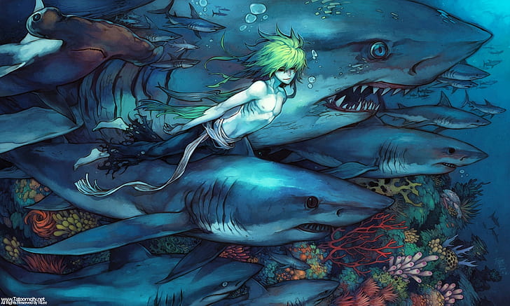 sea, shark, underwater, HD wallpaper