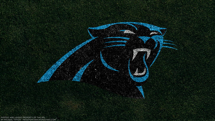 Football, Carolina Panthers, Emblem, Logo, NFL, HD wallpaper