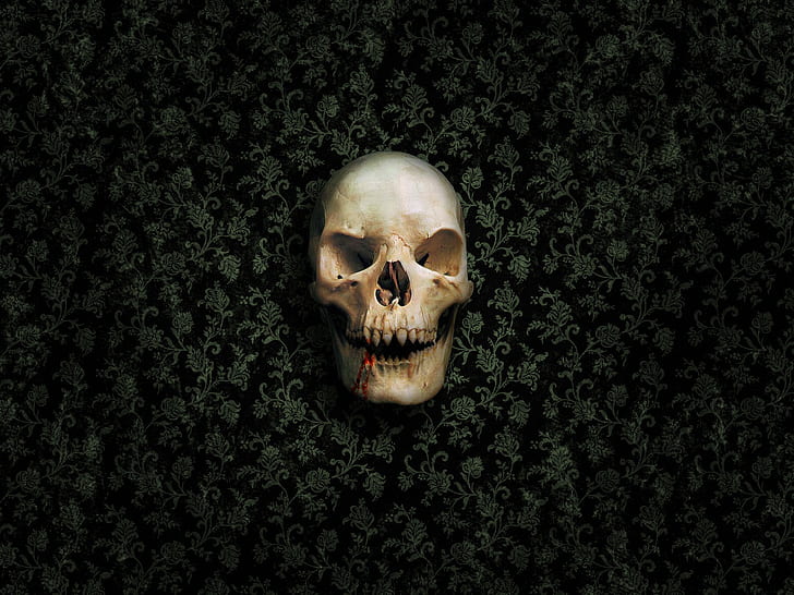 HD wallpaper: blood, dark, horror, skull, skulls | Wallpaper Flare