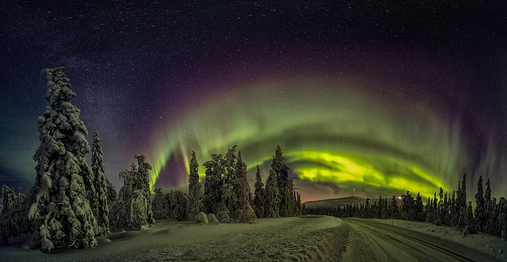 green trees, nature, landscape, Finland, aurorae, winter, forest