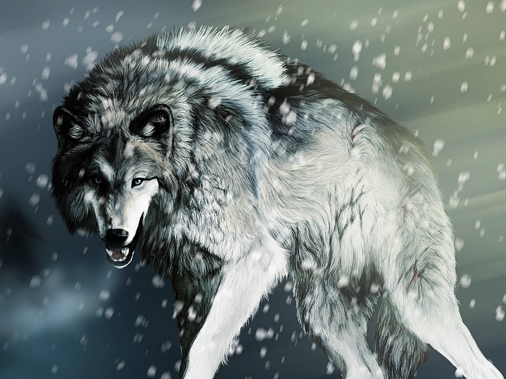 gray wolf digital wallpaper, artwork, snow, animals, one animal, HD wallpaper
