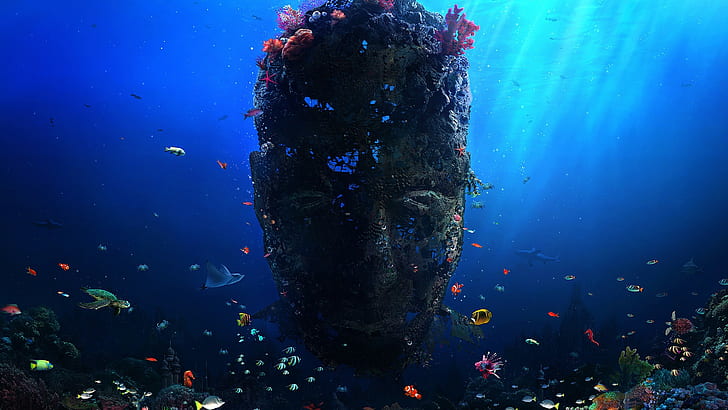 digital art, Desktopography, underwater, fish, coral, sea, face