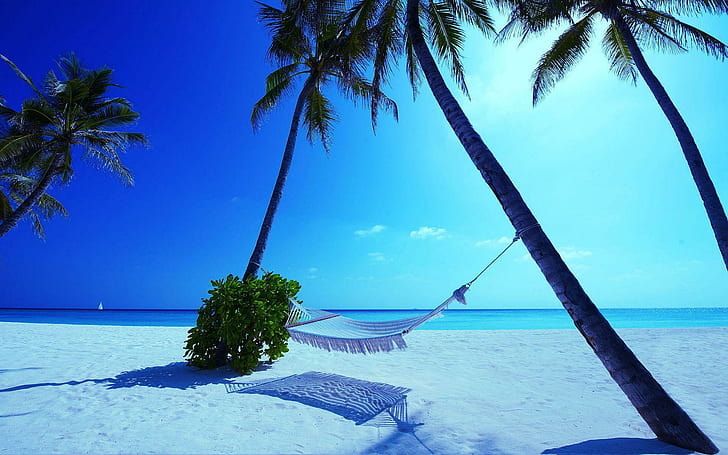Hammock Maldives Beach, white hammock, nature, HD wallpaper