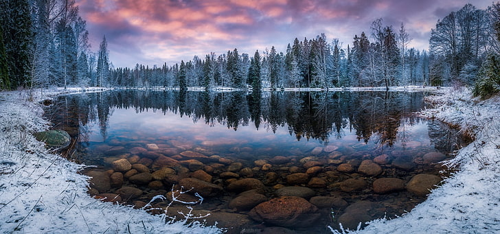 calm lake, nature, landscape, winter, forest, snow, morning, trees