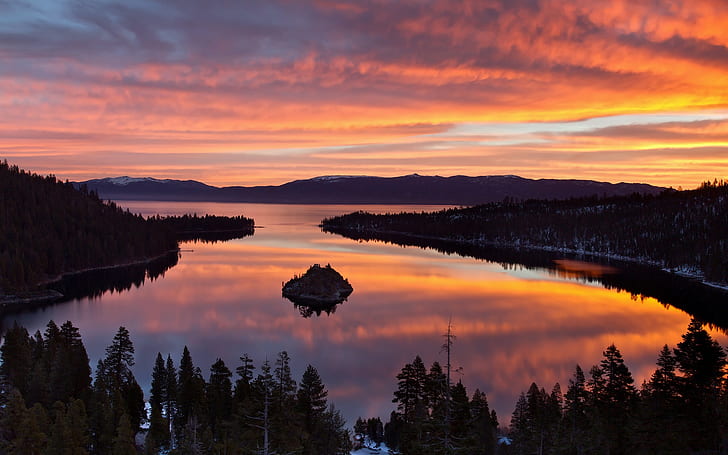 USA, California, Lake Tahoe, morning scenery, trees, sunrise, HD wallpaper