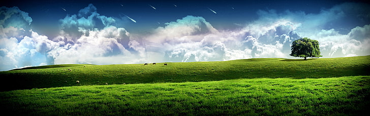 field of green grass wallpaper, art, clouds, digital, dream, dual