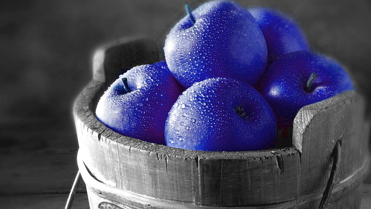 round blue fruits, selective coloring, apples, food, food and drink