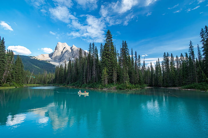 Banff National Park, Canada, Yoho National Park, trees, lake, HD wallpaper