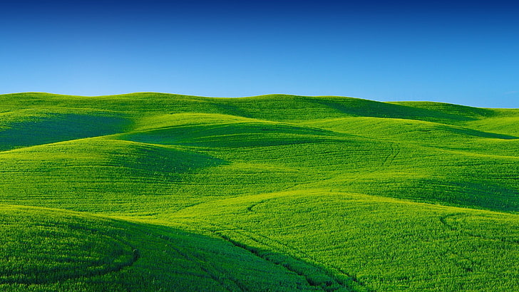 rolling hills, grassland, green hills, field, prairie, sky, HD wallpaper
