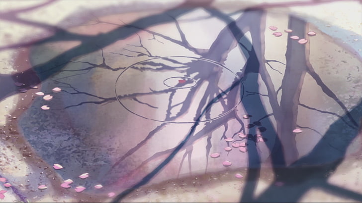 untitled, 5 Centimeters Per Second, puddle, reflection, flower petals