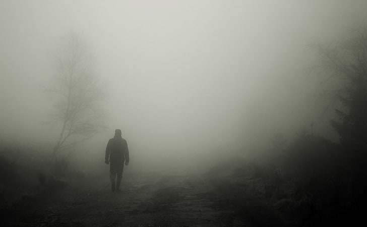 silhouette, fog, loneliness, alone, tree, one person, land, HD wallpaper