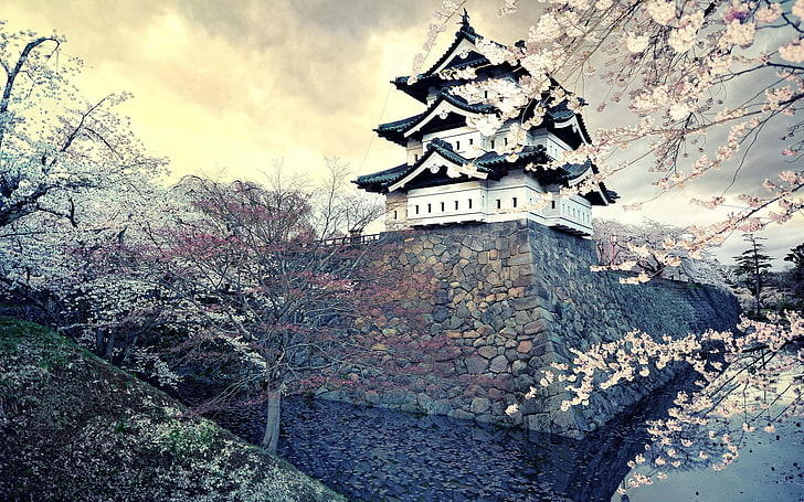 white temple, city, sakura, japan, spring, castle, architecture