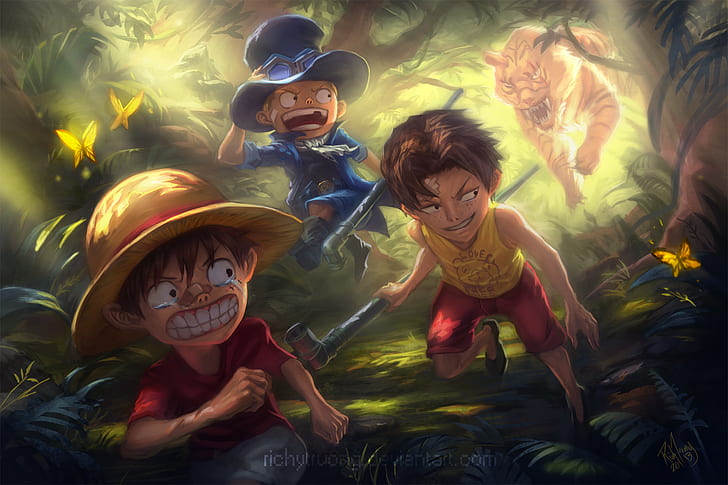 Anime, One Piece, Monkey D. Luffy, Portgas D. Ace, Sabo (One Piece), HD wallpaper