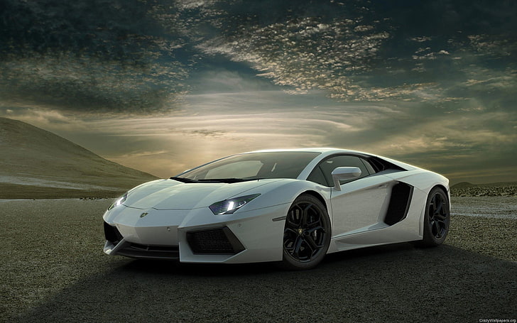 white Lamborghini Aventador coupe, car, sports car, white cars, HD wallpaper