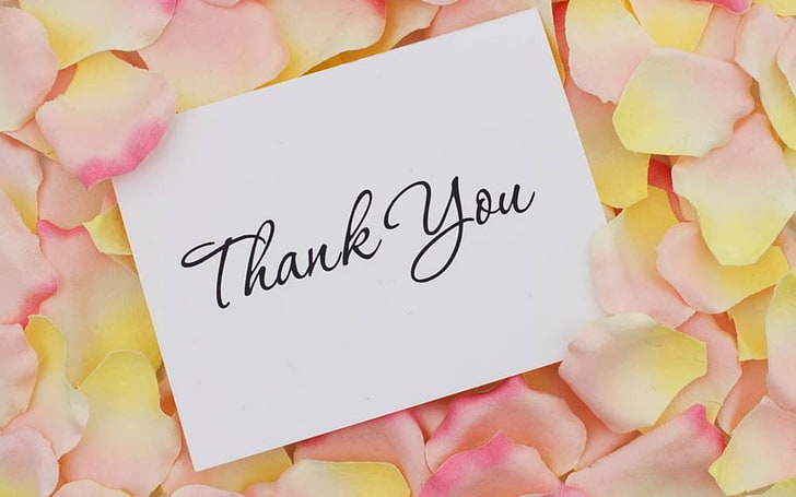 Thank You, words, petals, message, card, text, communication, HD wallpaper