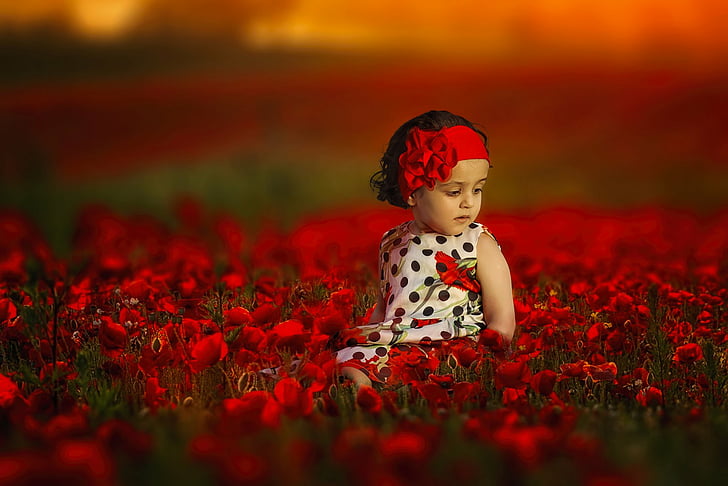 HD wallpaper: Photography, Child, Depth Of Field, Flower, Girl, Little Girl  | Wallpaper Flare