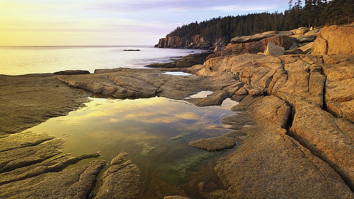 Atlantic Coast At Thunder Hole Acadia Np, forest, rocks, ocean, HD wallpaper