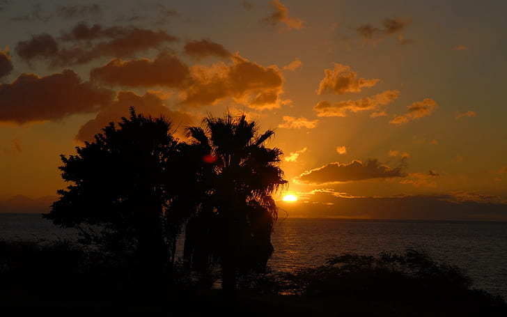 Amazing Sunset Image, palm trees, tropical, ocean, skies, sunrise, HD wallpaper