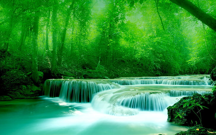 River, foliage, grenery, water, rocks, trees, greenery, HD wallpaper