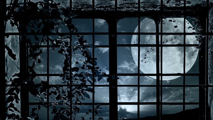 moon, full moon, window, night
