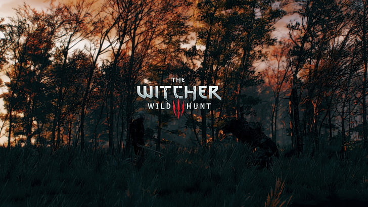 The Witcher Wild Hunt game cover, The Witcher 3: Wild Hunt, tree