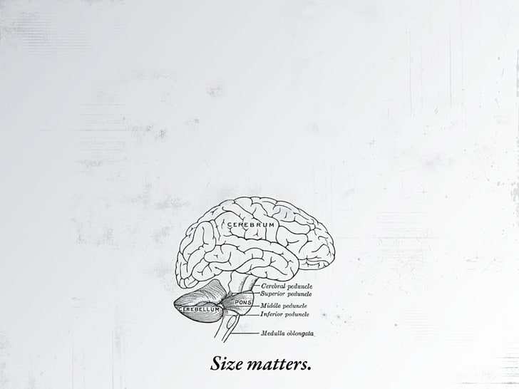 Human brain simple icon, cartoon style brain side drawing. Stock Vector |  Adobe Stock