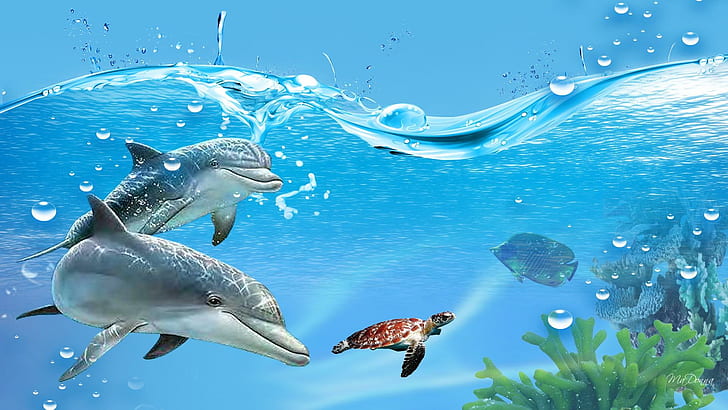 Underwater Play, swimming, bubbles, turtle, dolphins, plants, HD wallpaper