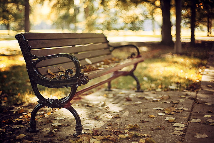 brown wooden slatted bench, autumn, leaves, trees, nature, Park, HD wallpaper