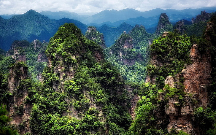 zhangjiajie national park, mountain, tree, plant, scenics - nature, HD wallpaper