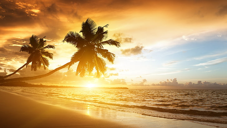 beach, kerala, india, indian ocean, marari beach, palms, asia, HD wallpaper