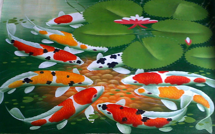 Koi Fishes Background For Computer, animal, animal themes, no people