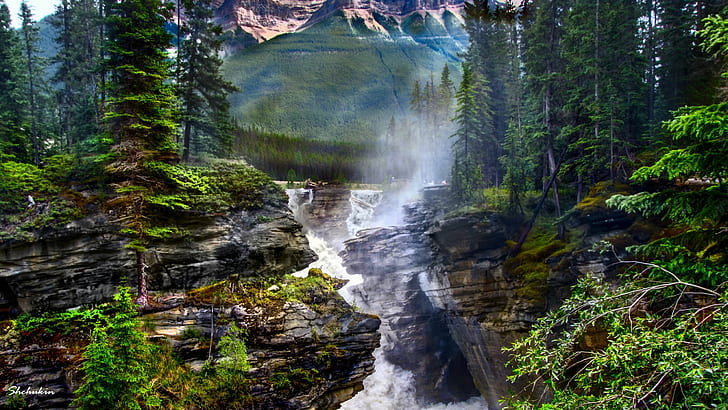 time lapse photography of water falls surrounded by tress, athabasca, athabasca