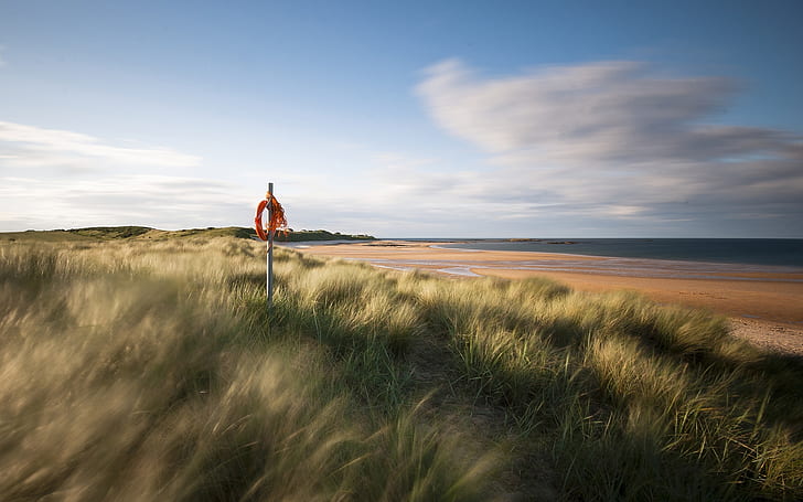 England sea coast scenery, sand beach, grass, green grass field, HD wallpaper