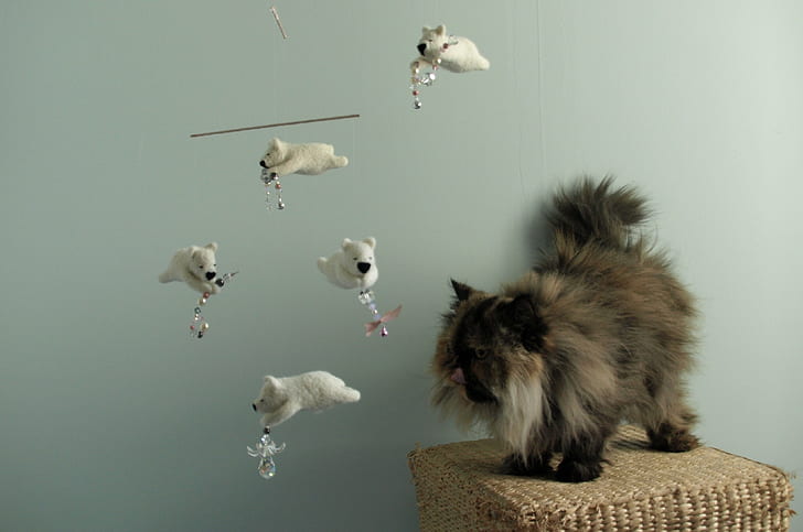 brown and black Persian Cat; white ceramic wind chime, Ok, first