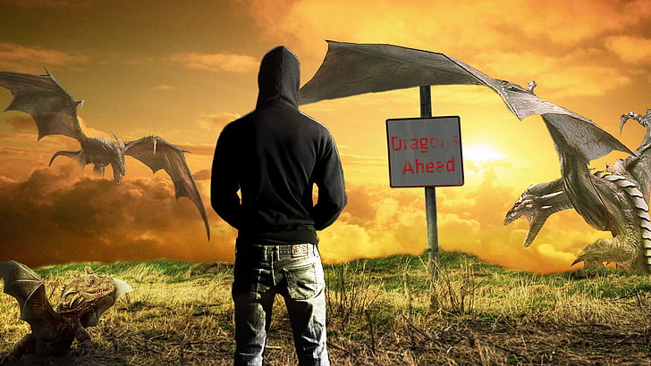 person standing in front of dragons with dragon ahead signage illustration, HD wallpaper