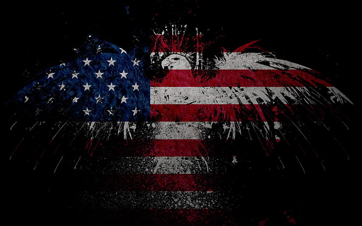 American flag illustration, eagle, red, night, striped, patriotism, HD wallpaper